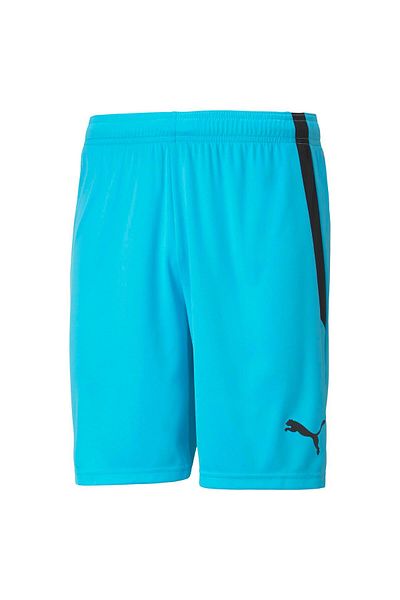 Puma TeamLIGA
