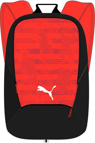 Puma Puma Red-Puma Bl Individualrise Boarding Backpack