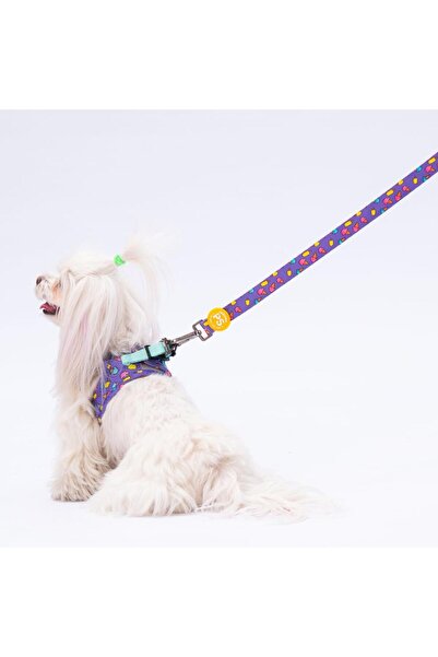 Pawstar Ice Cream Leash Kedi Köpek Sevk & Gezdirme Kayışı Köpek Uzatma Tasması-2Cm