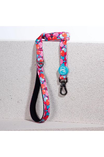 Pawstar Balloons Leash Cat Dog Ship & Walk Strap Dog Extension Collar