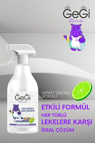 GEGİ Çok Amaçlı Leke Çıkarıcı Güçlü Etkili Sprey