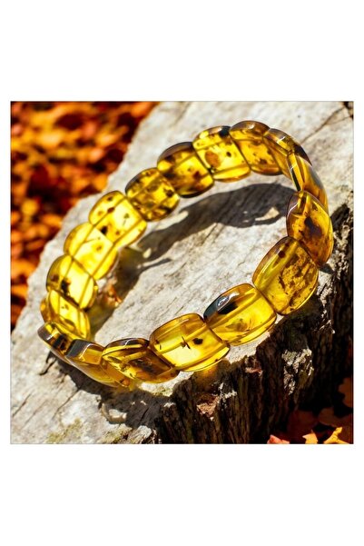 Büke Doğaltaş Tasarım Ağaç ve Toprak Fosilli Litvanya Kehribar Bay  Role Model Bileklik (Sertifikalı Ürün)