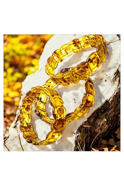 Büke Doğaltaş Tasarım Ağaç ve Toprak Fosilli Litvanya Kehribar Bay  Role Model Bileklik (Sertifikalı Ürün)