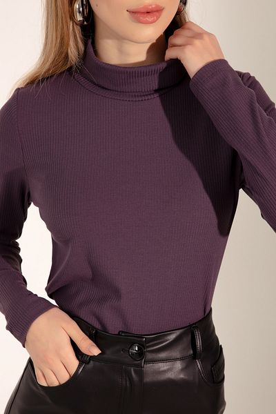 Lafaba Women's Purple Turtleneck Knitted Blouse