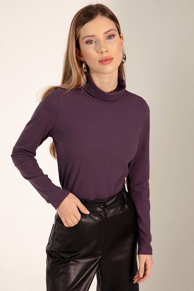 Lafaba Women's Purple Turtleneck Knitted Blouse