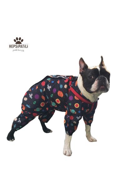 Alphadog Space Jam Thin Dog Raincoat