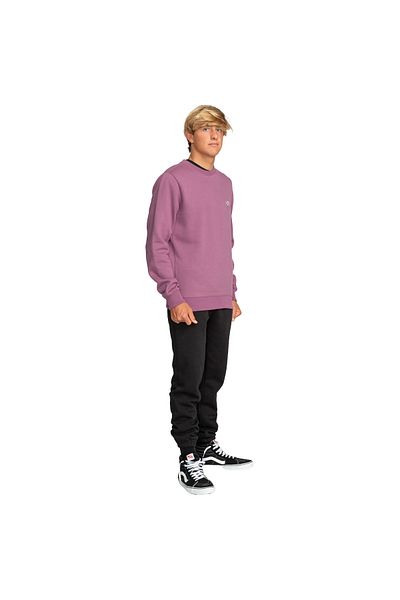 BİLLABONG Billabong Billabong Arch Cr Men's Sweatshirt Men's Sweatshirt Ebyft00113