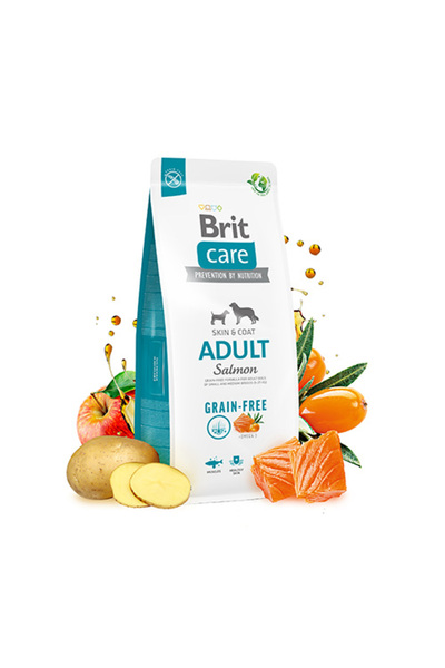 Brit Care Tahılsız Somon Ve Patatesli Yetişkin Köpek Maması 3 Kg
