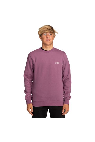 BİLLABONG Billabong Billabong Arch Cr Men's Sweatshirt Men's Sweatshirt Ebyft00113