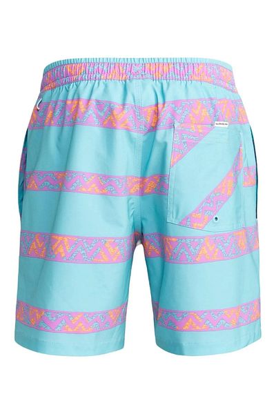 Quiksilver Take Us Back Vl 17 Pantaloni scurți pentru bărbați