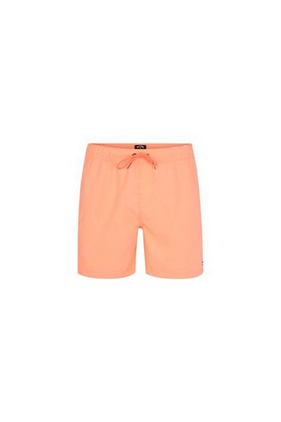 BİLLABONG Billabong All Day lb Men's Volley Short S1Lb12