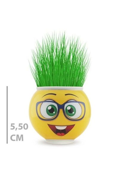 Acousticworld Γλάστρα Grass Man με φιγούρες Emoji για διακόσμηση γραφείου στο σπίτι