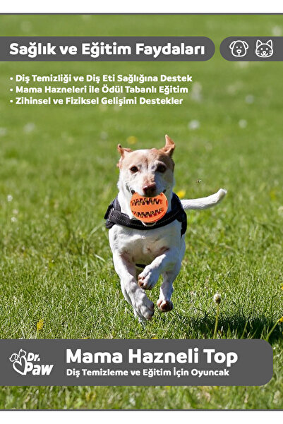 Dr.Paw Mama Hazneli Köpek Eğitim Topu – Diş Temizleyici Ve Ödül Destekli Zeka Oyuncağı