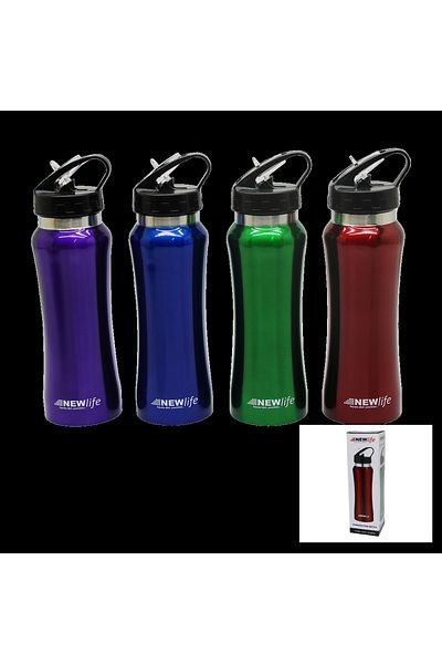 Go İthalat 650ml Metal Color Water Bottle with Sports Straw (4597)