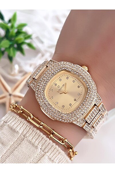 Coliseum Special Design Vintage Series Women's Wrist Watch+ Bracelet Gift Cl8460.M2