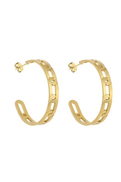 Daniel Klein Mtk11408 Steel Gold Color Earrings