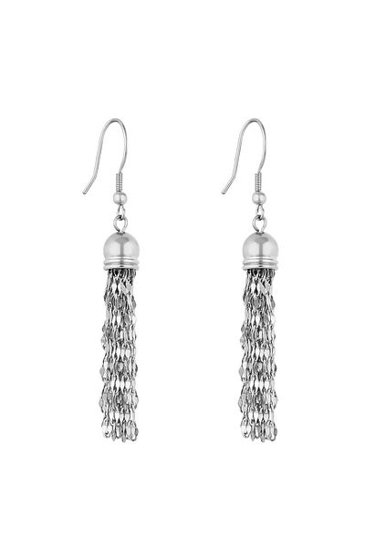 Daniel Klein Mtk11393 Steel Silver Color Earrings