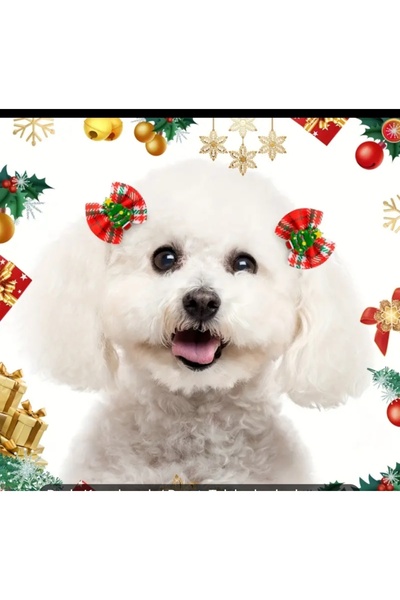 Elioure Yılbaşı temalı renkli köpek tokası, evcil hayvan aksesuarı, şık ve neşeli tasarım