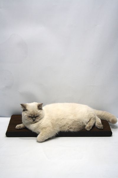 Lazy Paws Cat Scratch Cardboard - 60X24 cm - Mdf Edge