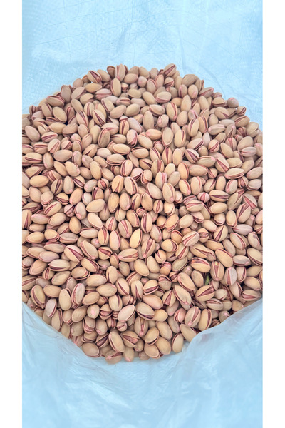 KIRIK ÇEREZ Siirt Fıstığı