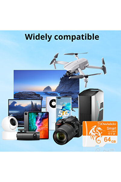 Choice 64GB SomnAmbulist Memory Card 64GB High Speed Mini TF Card C10 U3 A1 for Drone Audio Surveillance De