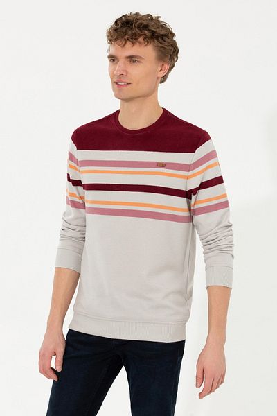 U.S. Polo Assn. БАЗА. ПОЛО. АСОЦИАЦИЯ Мъжки суитшърт с камъни 50256377