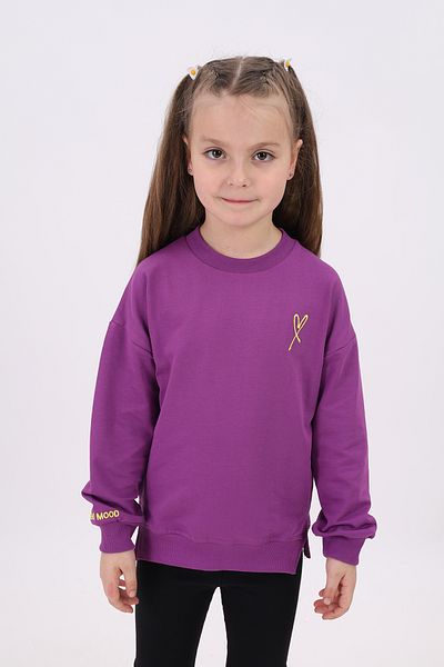 Toontoy Embroidery Detailed Sweatshirt for Girls