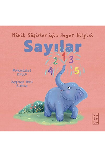 Ketebe Sayılar - Eğitici Öğretici Bebek Kitabı