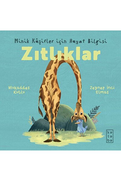 Ketebe Zıtlıklar Mukaddes Kutlu