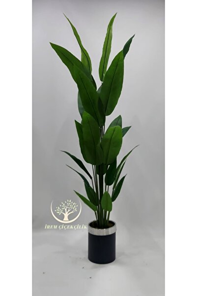 İremÇiçekçilik Siyah Gümüş saksıda 24 yapraklı Starliçe - Premium