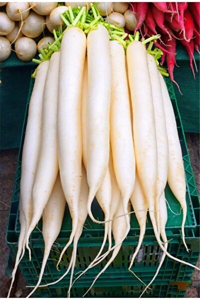 AKSARAY TOHUMCULUK Japon Turp Tohumu 100 Adet Tohum Aksaray Tohumculuk