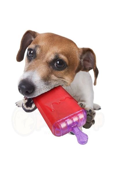 Flamingo Lolly Ice Cream Shaped Rubber Dog Toy 64 cm