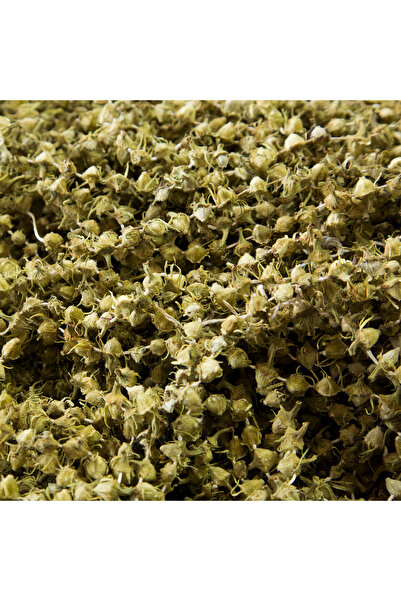 Amesia Bamya Kurusu 200 G.