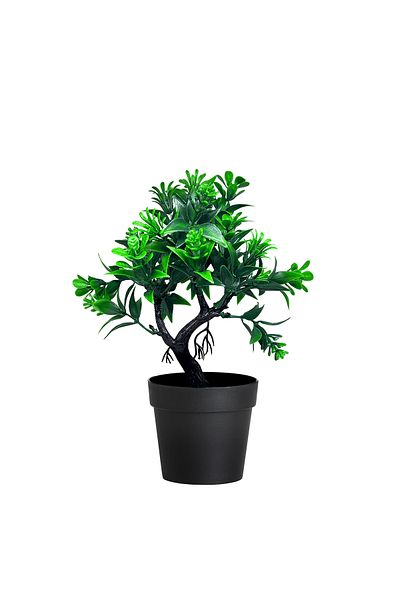 HOMİNG Τεχνητό φυτό Homing Green Leaf 30 cm 241819