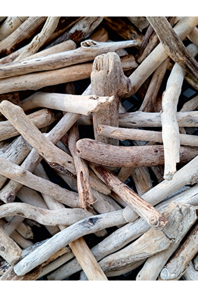 Makri Driftwood Deniz Sahil Odunu Lodos Tahtası Tip 2