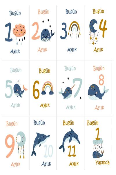 Moky Design Baby Monthly Memory Cards, 12-Piece for Month Concept Photo Shoot Souvenir, Newborn Baby Gifts