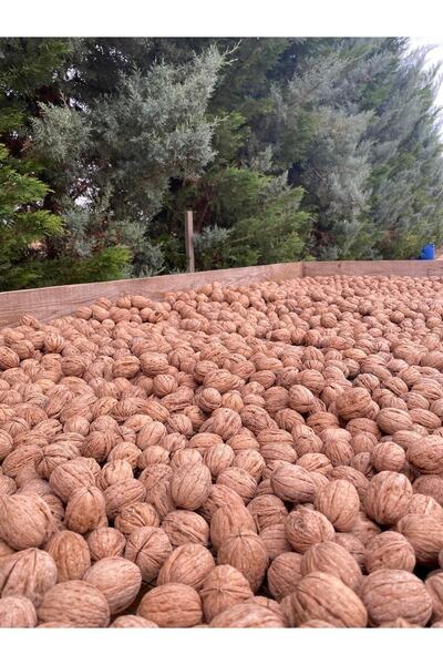 SULTAN CEVİZ BAHÇELERİ 25 Kg Ultra Lüks Ceviz Ince Kabuklu Chandler Cinsi Kuru Ceviz Yeni Hasat