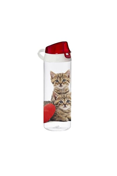 Herevin زجاجة مياه منقوشة سعة 0.75 لتر - قطة