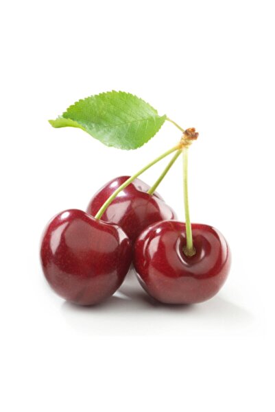 Bitkim Sende Avantajlı Iri Meyveli Napolyon Kiraz Fidanı (TÜPLÜ)