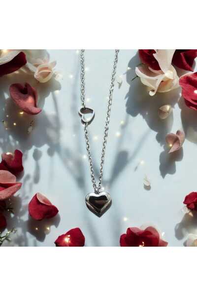 feyza collection الحد الأدنى من قلادة الفولاذ الفضية ذات القلب المزدوج