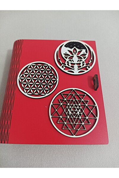 Şirin Lazer بركات الخنزير البنك