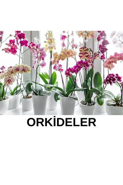 İYİBAHÇE İlk Gün Etkili 500 ml Orkideler+Tüm Süs Bitkileri Besini