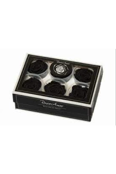 trendbahce Rose Amor NEGRU trandafir șocat care nu se estompează XL pachet de...