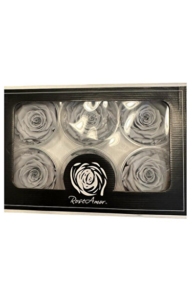 trendbahce Trandafir Rose Amor GREY, rezistent la șocuri, care nu se decolore...