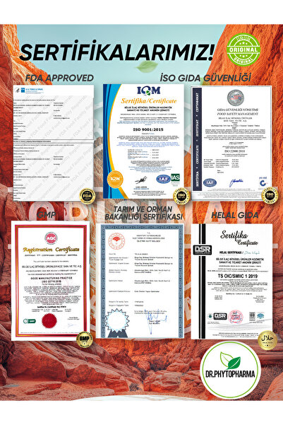 Dr Phytopharma Kırmızı Kore Ginsengi 100 mg Panax Ginseng + 17 İçerikli Premium Kompleks 705mg x 60 Kapsül