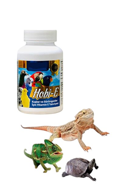 ozzipetshop Bukalemun - Gecko - Iguana - Dragon Sürüngen Kertenkele E Vitamin...