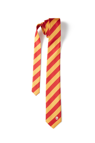 GSStore Galatasaray Erkek Kravat U221489