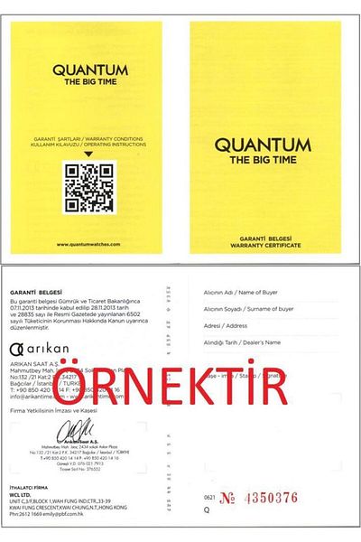 Quantum Pwg966.550 Wristwatch