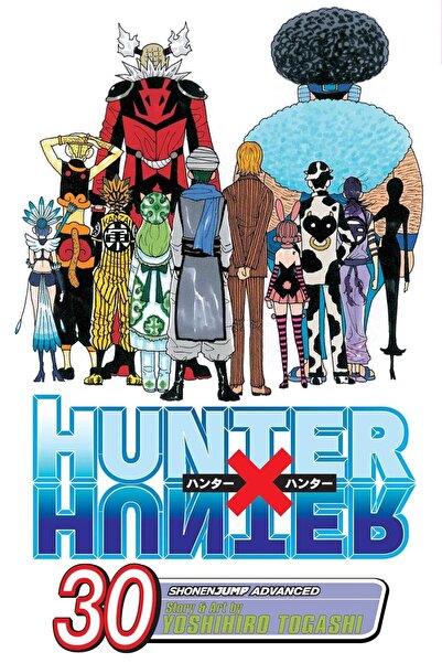 Viz Media Hunter X Hunter Tp Vol 30 (C: 1-0-1): Volume 30