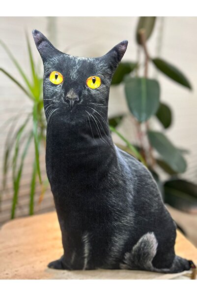 Pethoven Kedi yastık